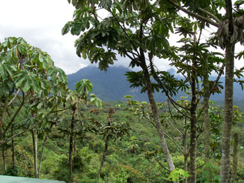 Guacamayos Ridge from Cabanas San Isidro